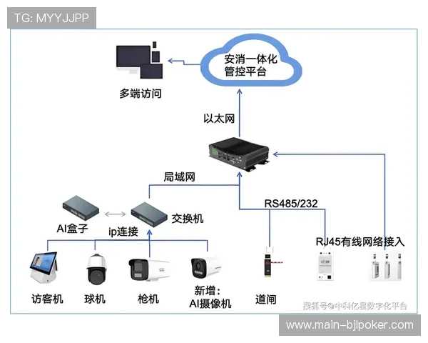多平台联动成为行业标准，跨终端内容一致性显著增强